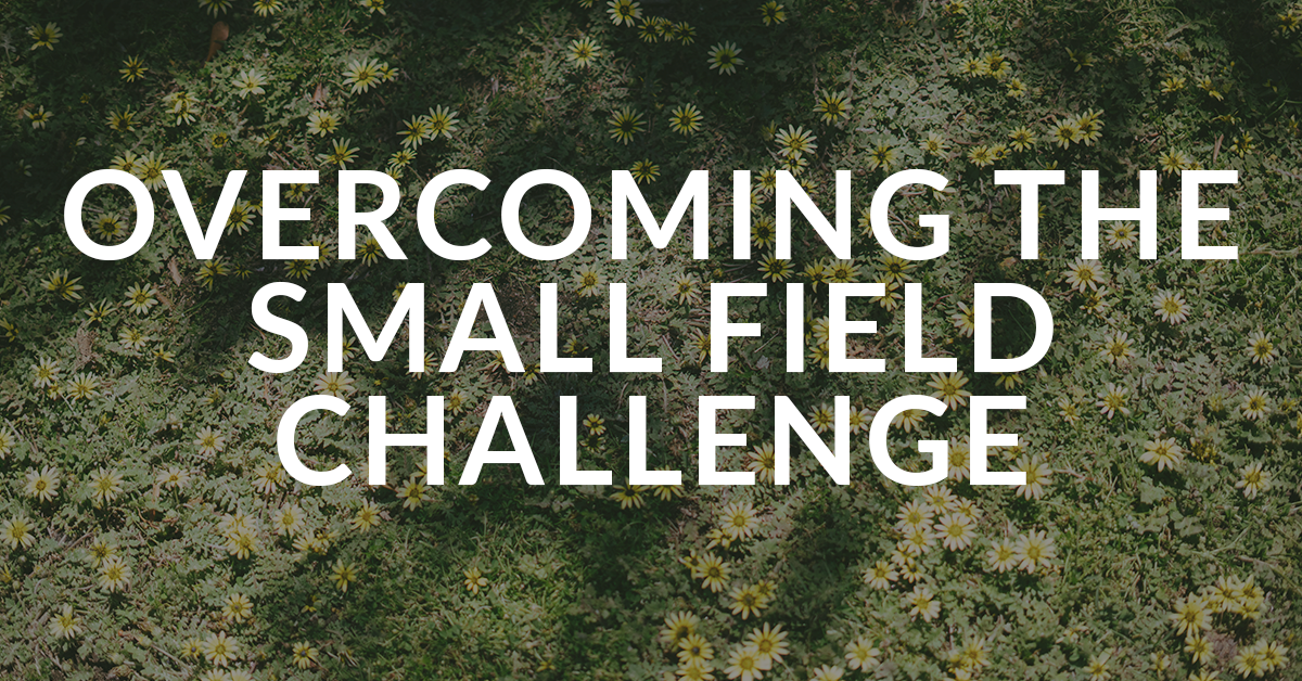 Small Fields